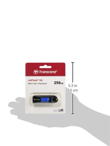 Transcend 256GB JetFlash 790 USB 3.1 Gen 1 Flash Drive (USB Stick) Black TS256GJF790K 256 GB