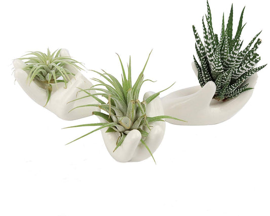 BALANSOHO Air Plant Holder 3 Pack Ceramic Airplant Live Plants Tillandsia Pots Hand Shape Small Container Office Desk Decorations Home Decor