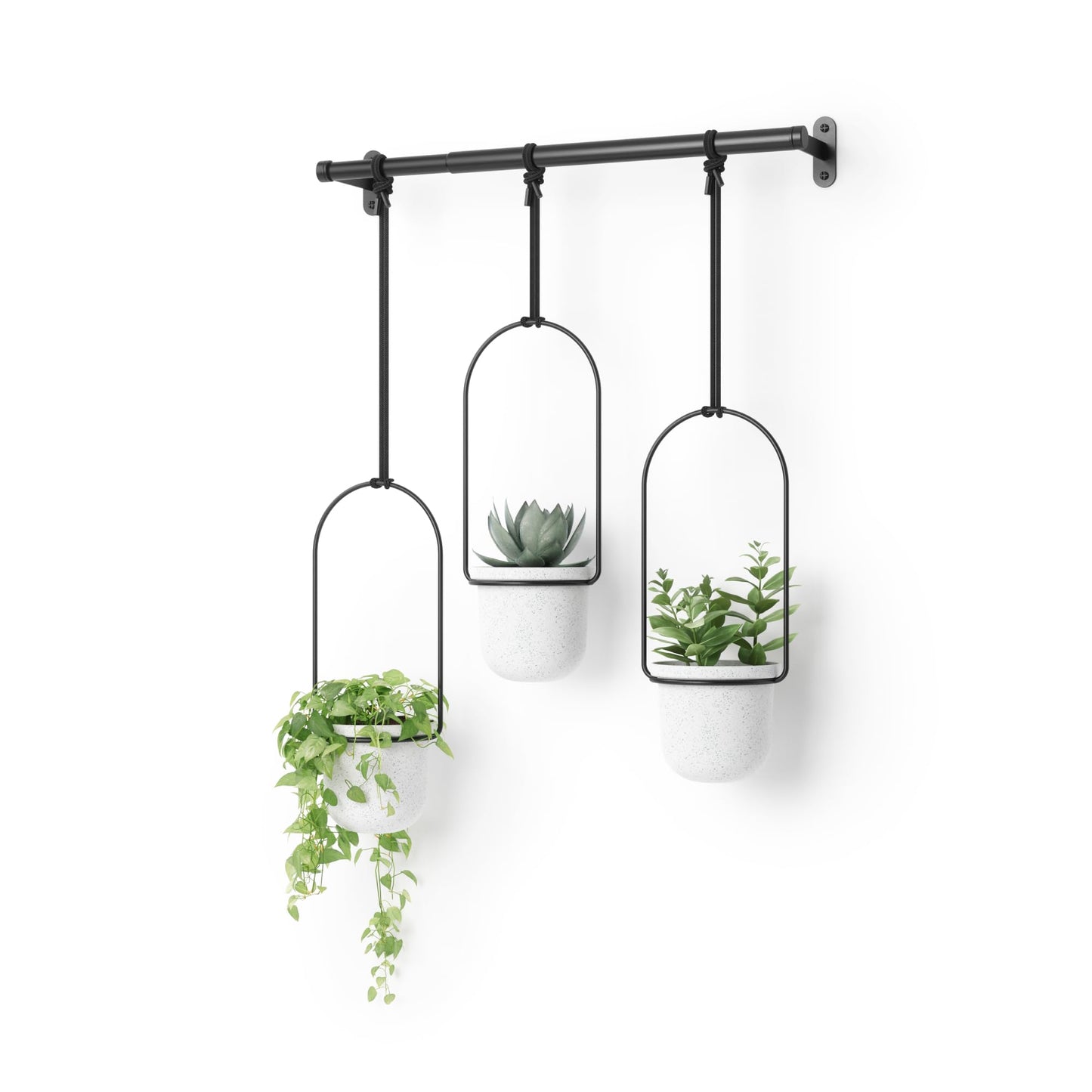 Umbra Triflora Hanging Planter for Window, Indoor Herb Garden, White/Black, Triple, 3 Pots