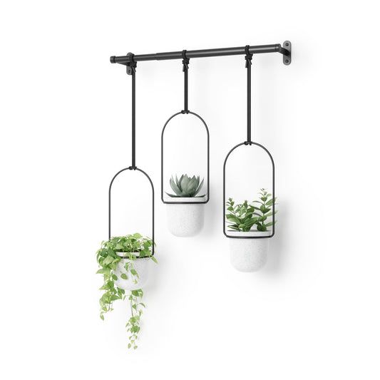 Umbra Triflora Hanging Planter for Window, Indoor Herb Garden, White/Black, Triple, 3 Pots