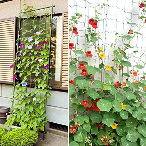 Zivisk Pack of 2 Pea Netting, Climbing Plant Supports Garden Trellis Netting, Heavy Duty Mesh for Bean, Sweet Peas, Cucumber, Tomato, Vegetables, Fruit, Vine - 0.9 x 1.8m