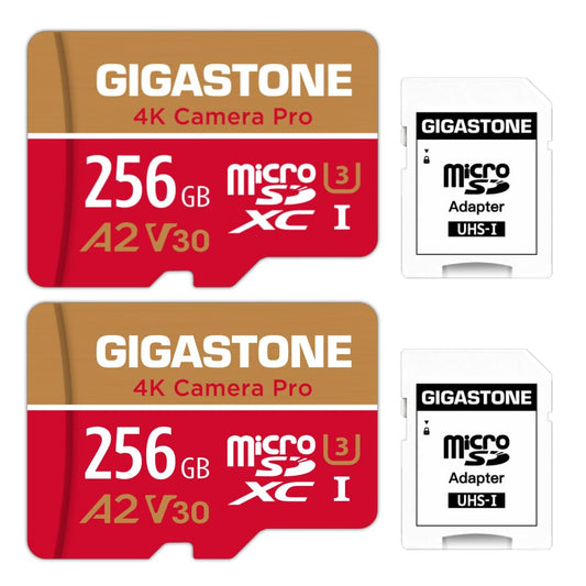 [5-Yrs Free Data Recovery] Gigastone 256GB 2-Pack Micro SD Card, 4K Game Pro, MicroSDXC Memory Card for Nintendo-Switch, GoPro, Action Camera, DJI, UHD Video, R/W up to 100/60MB/s, UHS-I U3 A2 V30 C10 256 GB Game Pro 2PK