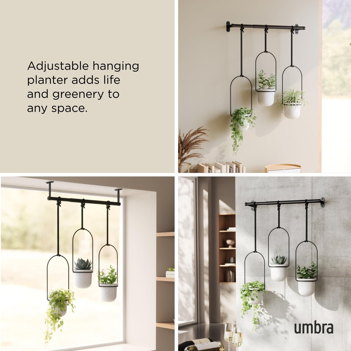 Umbra Triflora Hanging Planter for Window, Indoor Herb Garden, White/Black, Triple, 3 Pots