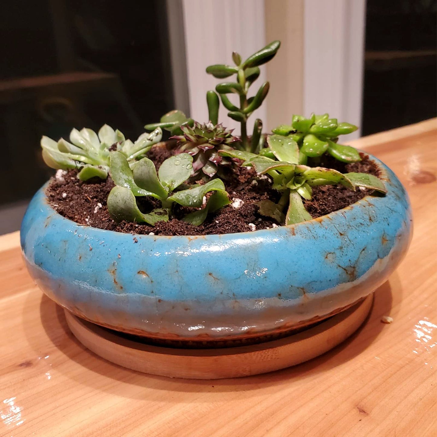 ARTKETTY Succulent Plant Pot, 18.5CM Large Bonsai Pot with Drainage Tray, Ceramic Pots for Indoor Plants Shallow Cactus Plant Pot Glazed Flower Plant Container Bowl Blue With Tray