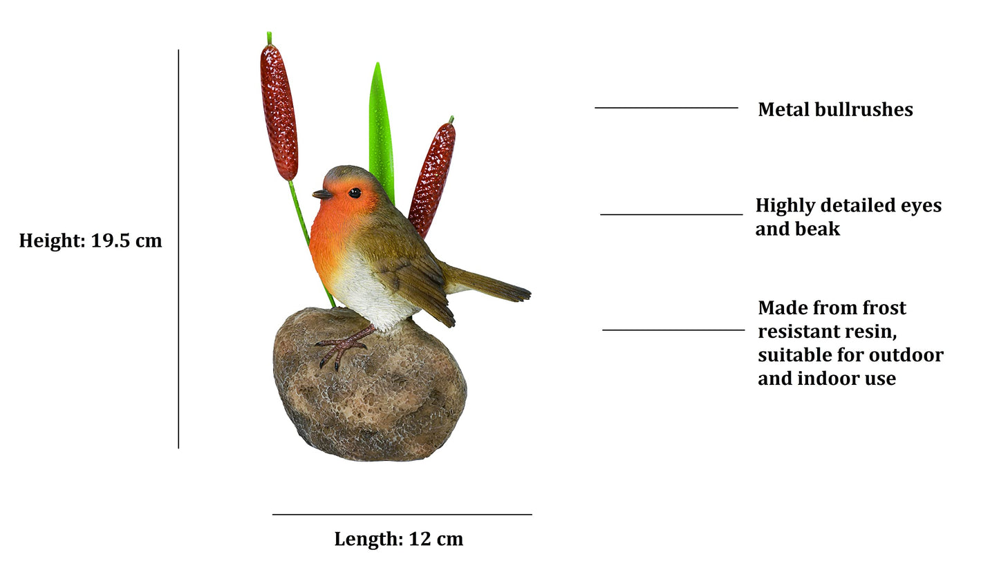 Vivid Arts Robin on Stone with Bulrush Home or Garden Decoration