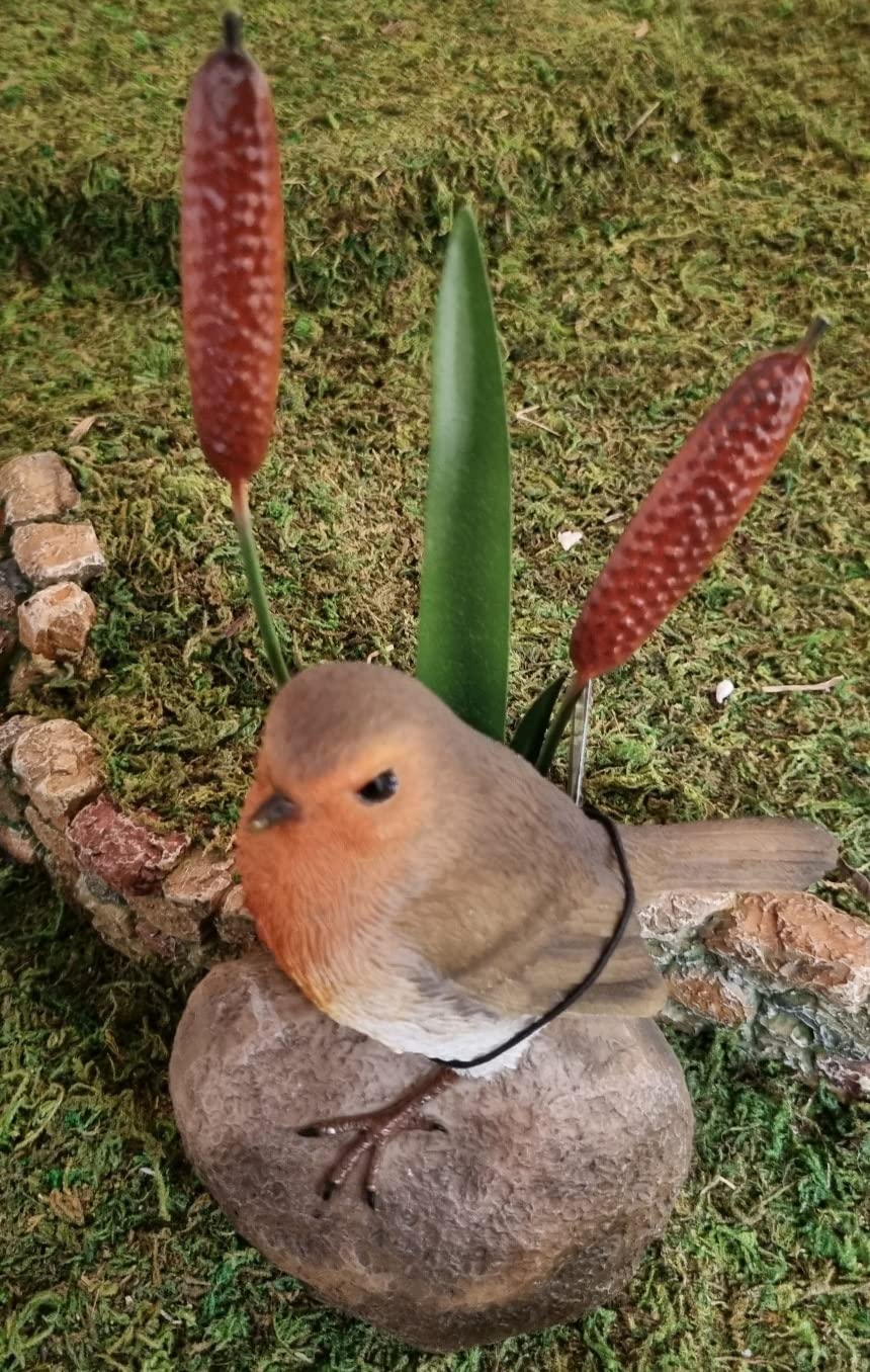 Vivid Arts Robin on Stone with Bulrush Home or Garden Decoration