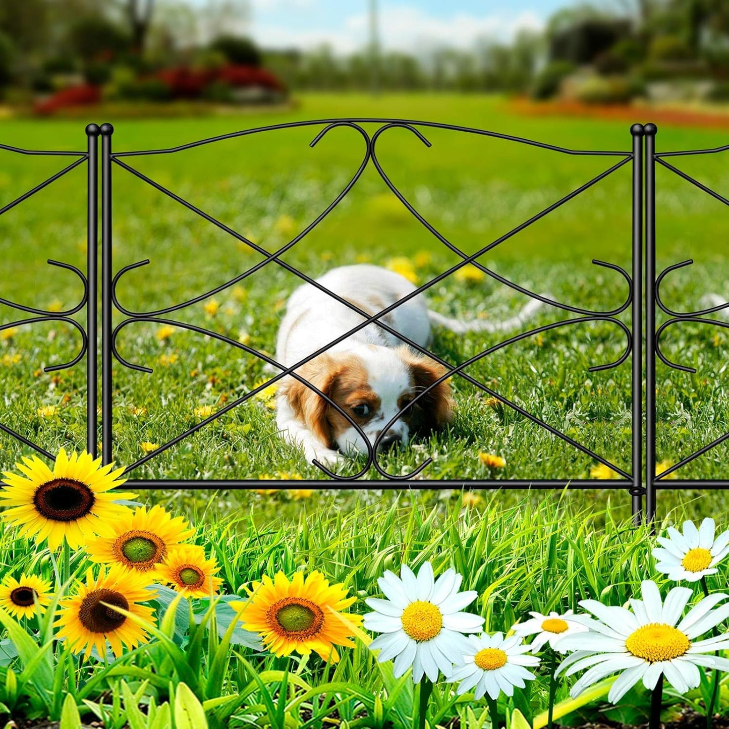 Amagabeli Garden Home Decorative Metal Garden Fence Panels 60CM(H) X3M(L) Outdoor Rustproof Metal Garden Fencing Panels Border Landscape Wire Folding Patio Fences Flower Animal Dogs Garden Edging