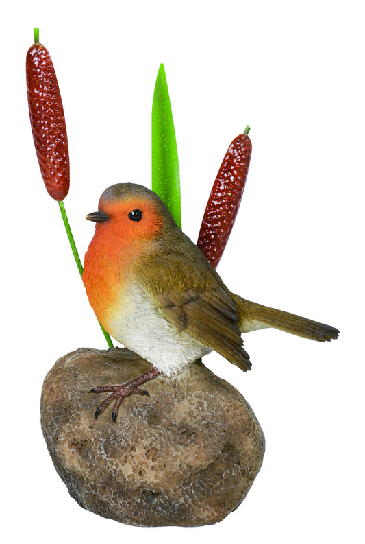 Vivid Arts Robin on Stone with Bulrush Home or Garden Decoration