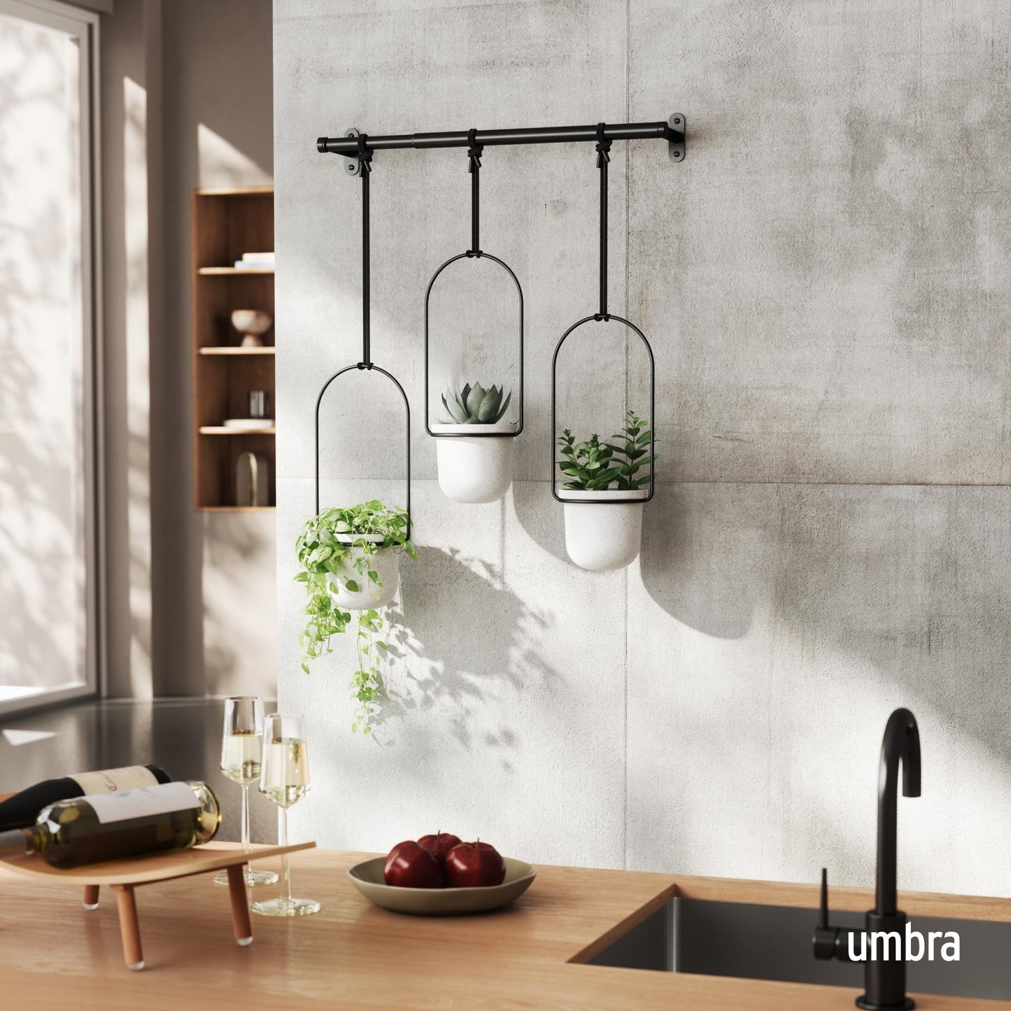 Umbra Triflora Hanging Planter for Window, Indoor Herb Garden, White/Black, Triple, 3 Pots