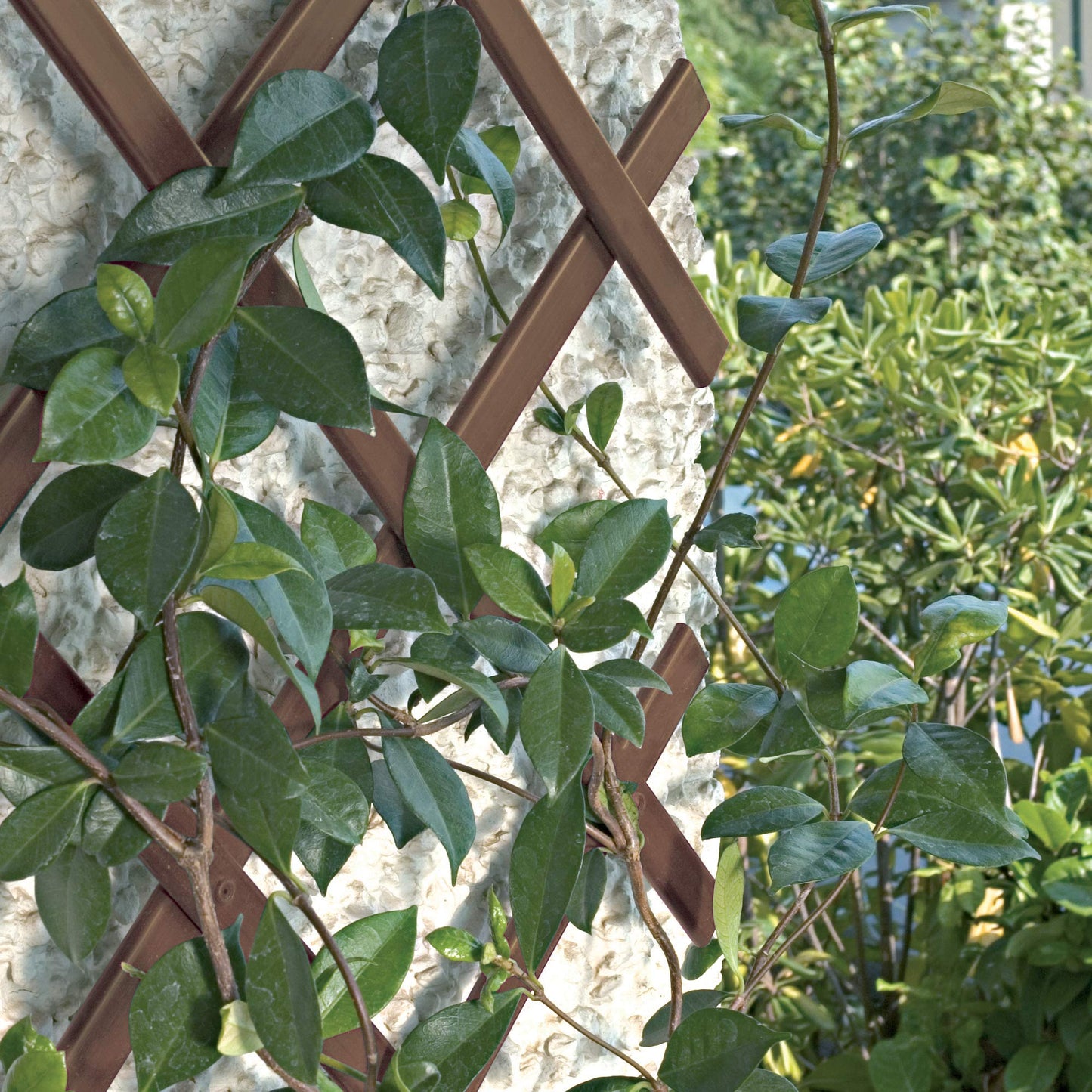 Trepls Extendable PVC Trellis 1,00x2 m brown